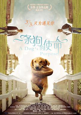 我的美妻子