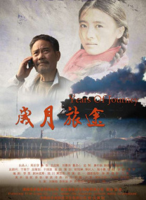 综合婷婷