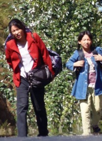 欧美在线观看第一页