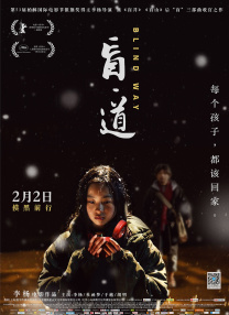 中文字幕在线精品视频入口一区