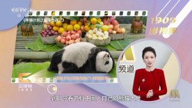 草极品少妇